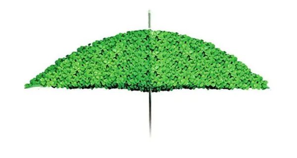 二手车买卖需要注意什么？二手车买卖手续有哪些