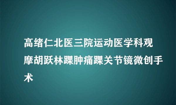 高绪仁北医三院运动医学科观摩胡跃林踝肿痛踝关节镜微创手术