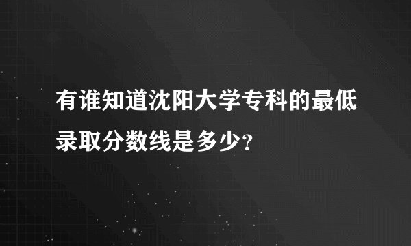 有谁知道沈阳大学专科的最低录取分数线是多少？