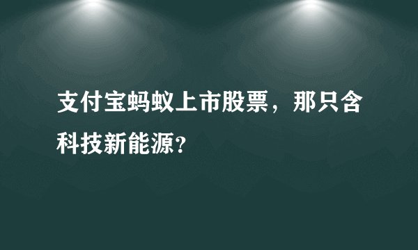 支付宝蚂蚁上市股票，那只含科技新能源？
