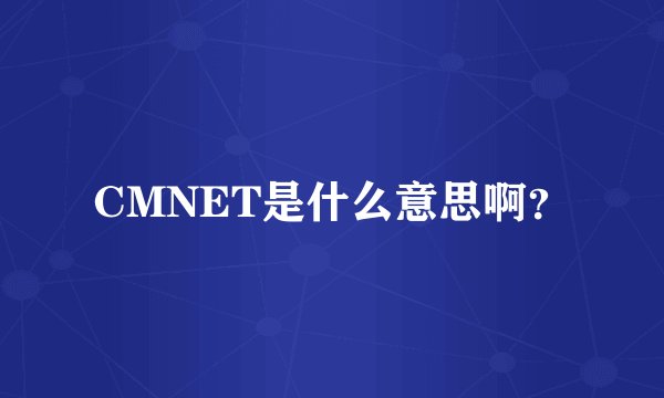 CMNET是什么意思啊？