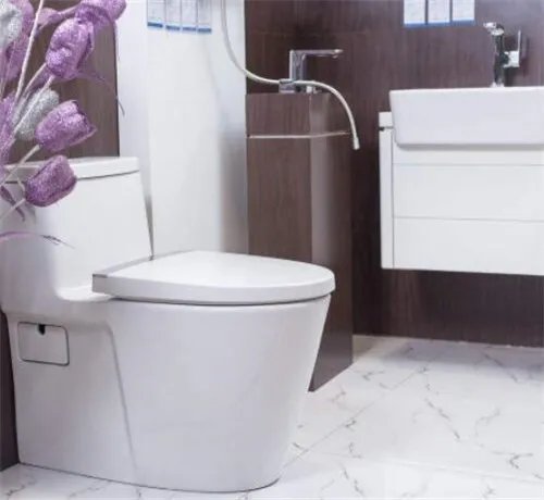 座便器尺寸大概多少 座便器尺寸选择注意事项