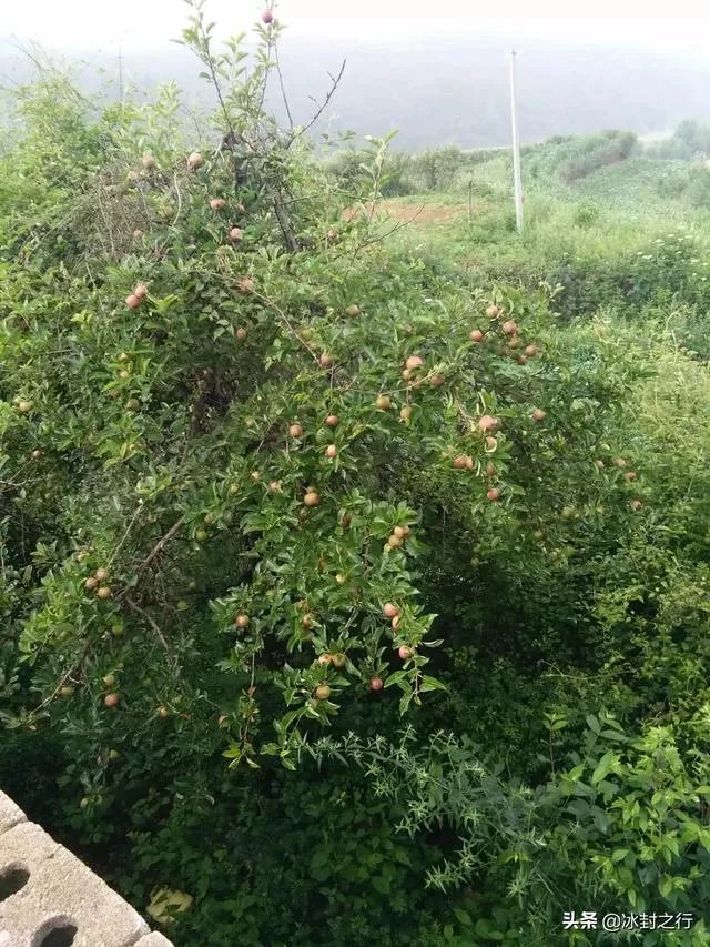 十一云南旅游应该带什么？