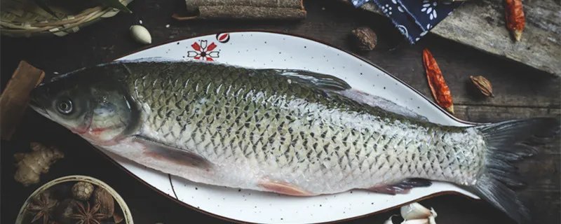 鱼缸水浑浊原因和解决方案 鱼缸水浑浊的原因和解决方案