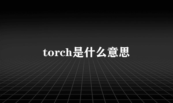 torch是什么意思