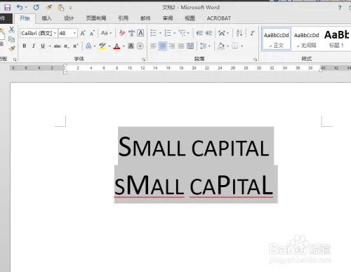 word设小型大写字母small capitals