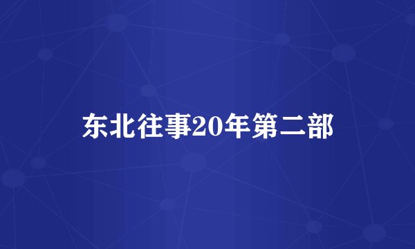 东北往事20年第二部