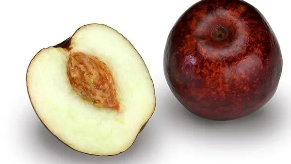 补气补血吃什么