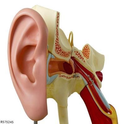 外伤性鼓膜穿孔怎么治疗