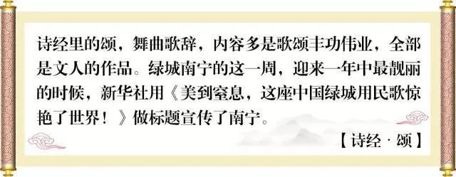 你会给2017年的南宁国际民歌艺术节打多少分？