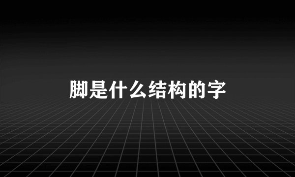 脚是什么结构的字