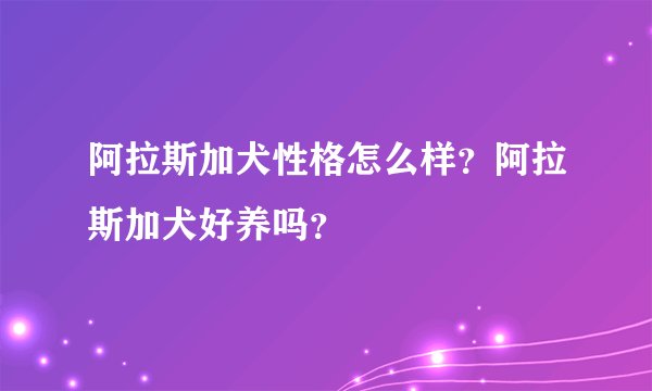阿拉斯加犬性格怎么样？阿拉斯加犬好养吗？