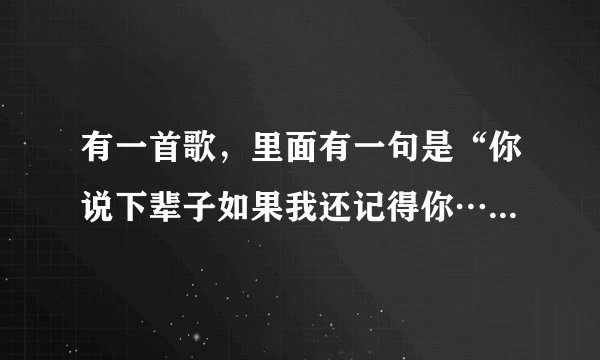 有一首歌，里面有一句是“你说下辈子如果我还记得你……”！是哪首歌的歌词？