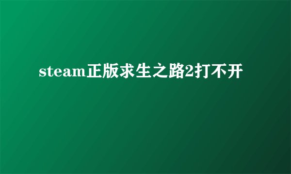 steam正版求生之路2打不开