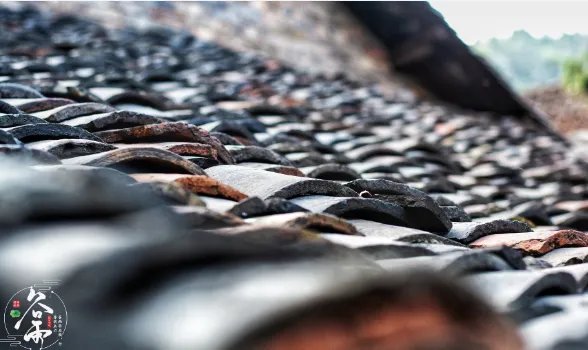 谷雨后面是什么节气 谷雨下一个是什么节气