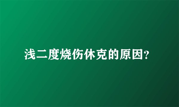 浅二度烧伤休克的原因？