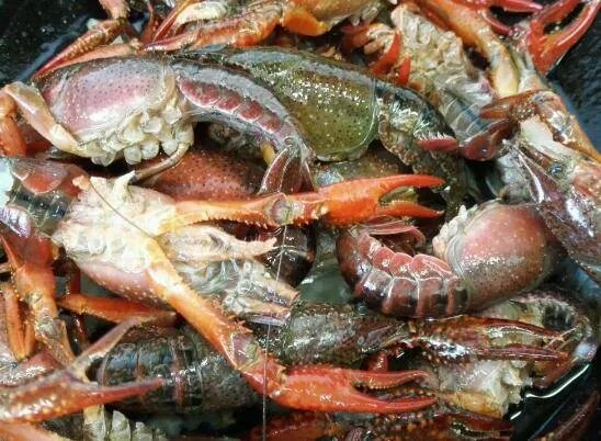 冰冻龙虾怎么做好吃