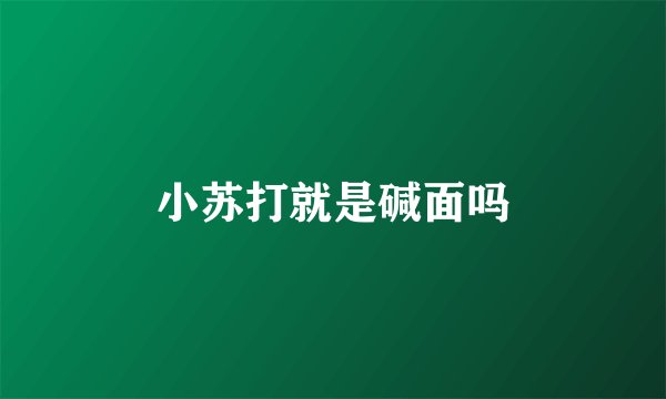 小苏打就是碱面吗