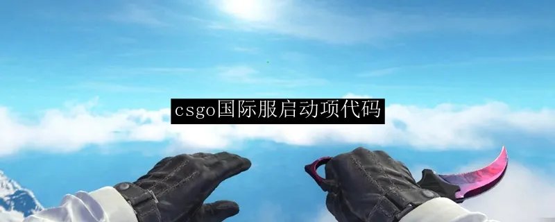 csgo国际服启动项代码