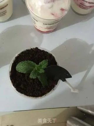 自制手工酸奶、生活更美味