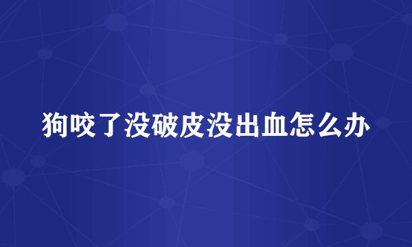 狗咬了没破皮没出血怎么办