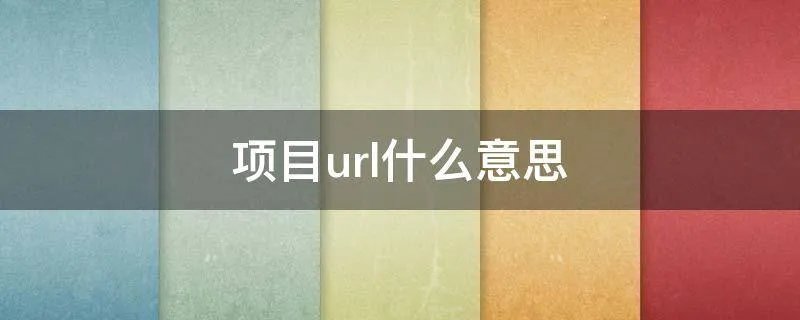 项目url什么意思