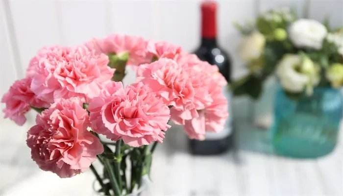 康乃馨怎么修剪 康乃馨的修剪方法