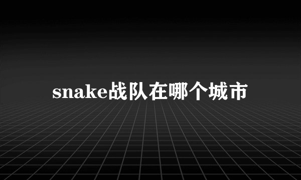 snake战队在哪个城市