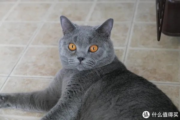 松下相机怎么样