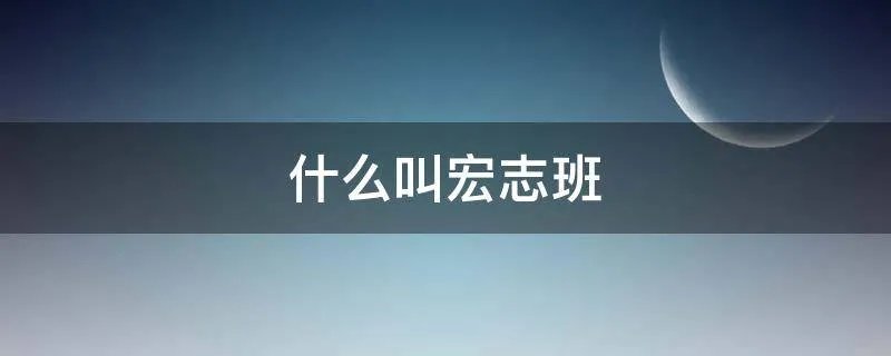 什么叫宏志班