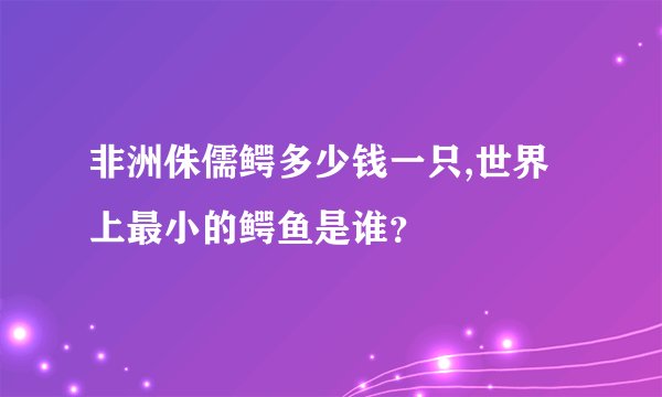 非洲侏儒鳄多少钱一只,世界上最小的鳄鱼是谁？