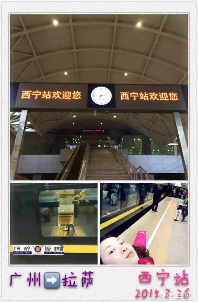 最贵的火车票多少钱