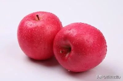 进入9月份了中晚熟水果陆续进入成熟采摘期，可是今年的水果价格怎么这么低？