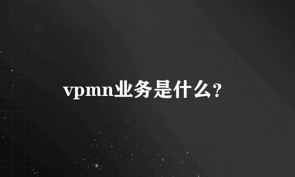 vpmn业务是什么？