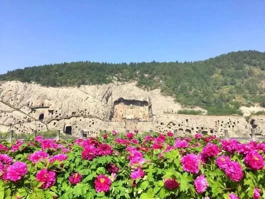 洛阳哪个牡丹园最好？具体说说可以吗？