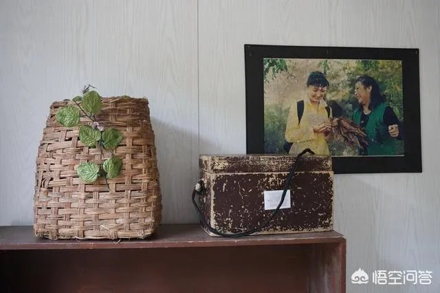 龙泉山庄是真实存在的吗