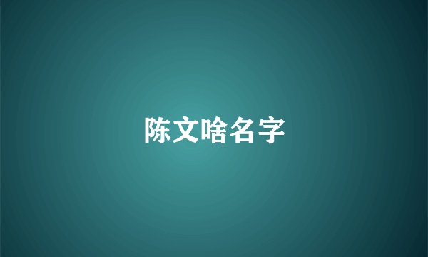 陈文啥名字