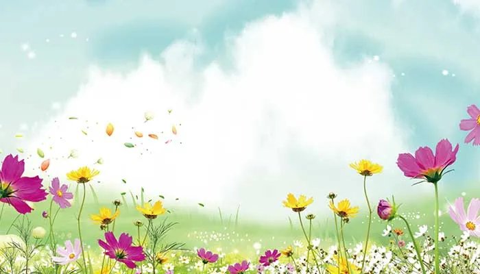 太阳花花语 太阳花的花语