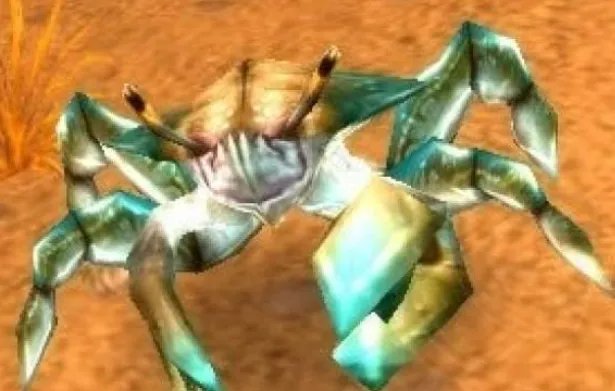 《魔兽世界》蚌肉掉落地点详情