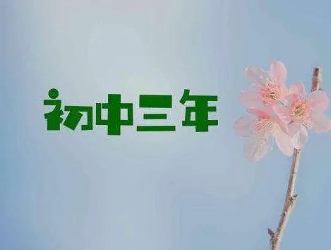 初中三年规划怎么写?