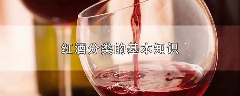 红酒分类的基本知识