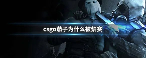 csgo茄子为什么被禁赛