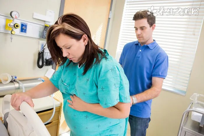 蛤蚧的功效与作用