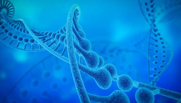 基因突变和基因重组的区别 基因突变和基因重组有什么不一样