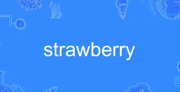 草莓的英语单词