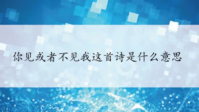 你见或者不见我这首诗是什么意思？