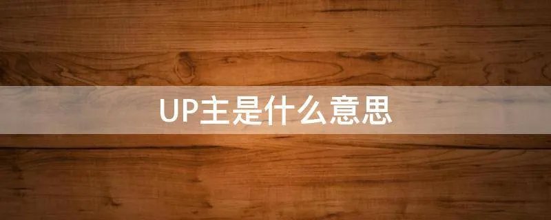 UP主是什么意思