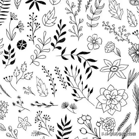 怎么自学插画？