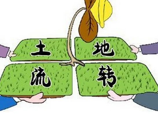 土地流转的意义有哪些