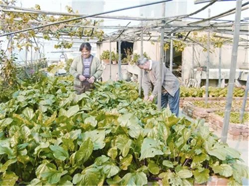 楼顶隔热的方法有哪些 5种隔热方法让你远离闷热的烦恼